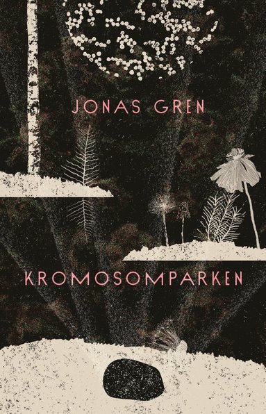 Kromosomparken (pocket)