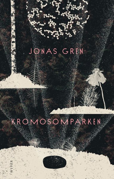 Kromosomparken (pocket)