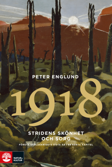 Stridens sknhet och sorg 1918 : frsta vrldskrigets sista r i 88 korta kapitel (pocket)