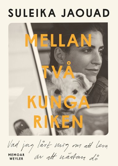 Mellan tv kungariken : vad jag lrde mig om att leva av att nstan d (hftad)