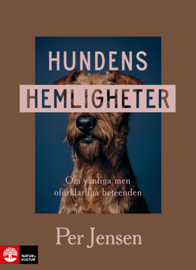 Hundens hemligheter : om vanliga men ofrklarliga beteenden (inbunden)