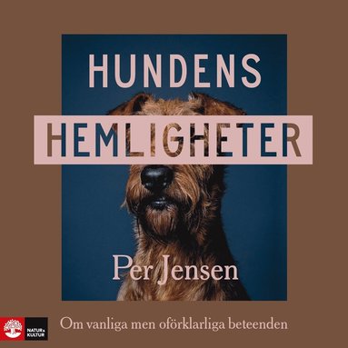 Hundens hemligheter : om vanliga men ofrklarliga beteenden (inbunden)