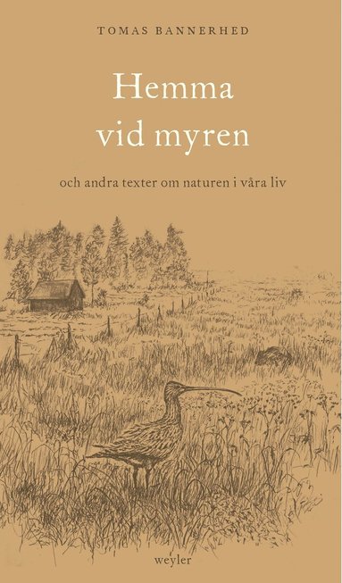 Hemma vid myren : och andra texter om naturen i vra liv
