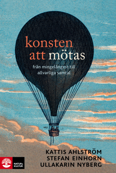 Konsten att mtas : frn mingelngest till allvarliga samtal (pocket)