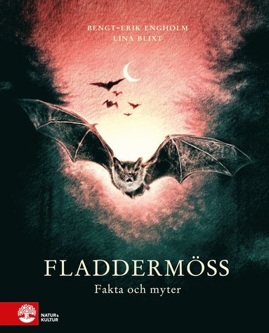 Fladdermöss : fakta och myter (inbunden)