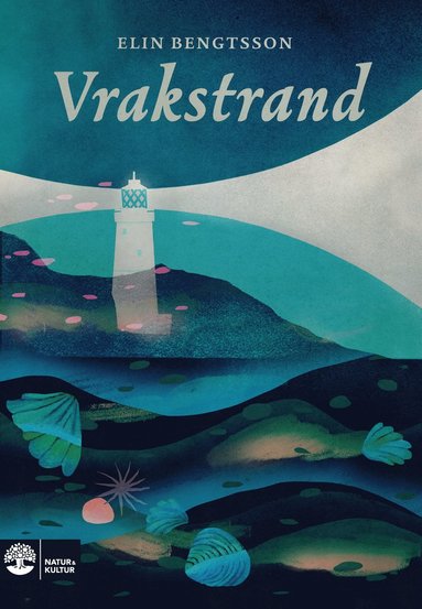 Vrakstrand (hftad)
