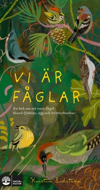 Omslag för Vi är fåglar : en bok om att vara fågel bland fjädrar, ägg och kvitterbuskar
