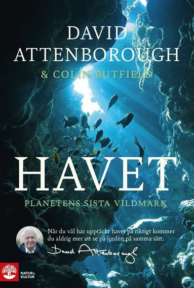 Havet : planetens sista vildmark (inbunden)