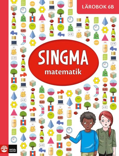 Singma matematik 6B Lrobok (hftad)