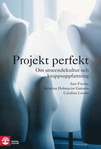 Projekt perfekt : Häftad utgåva av originalutgåva från 2014 (häftad)