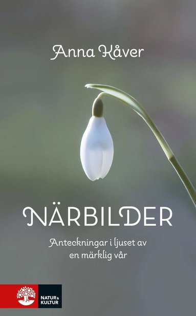 Nrbilder : Anteckningar i ljuset av en mrklig vr (kartonnage)