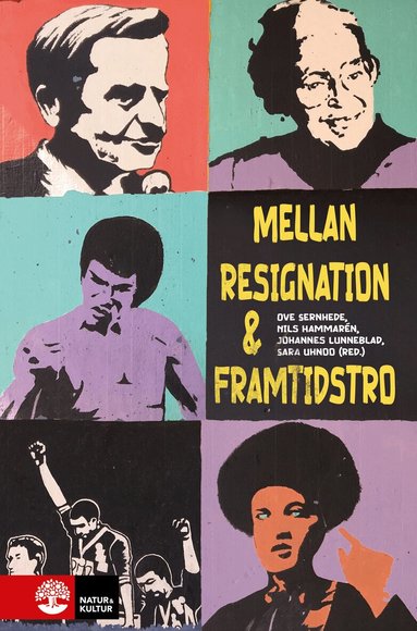 Mellan resignation och framtidstro : livsvillkor och l�rande hos f�rortens unga (h�ftad)