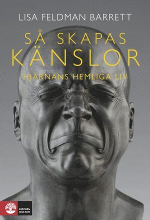 S skapas knslor : Hjrnans hemliga liv (hftad)