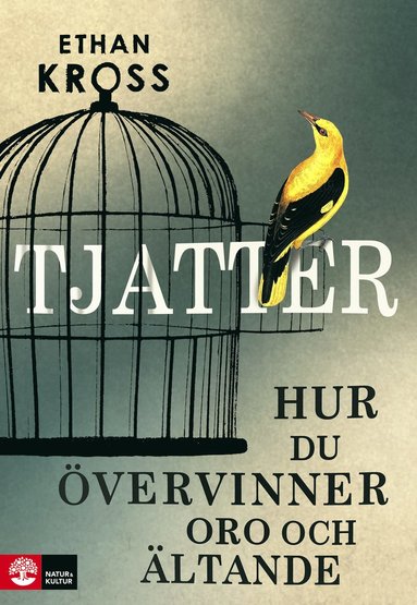 Tjatter : hur du vervinner oro och ltande (hftad)