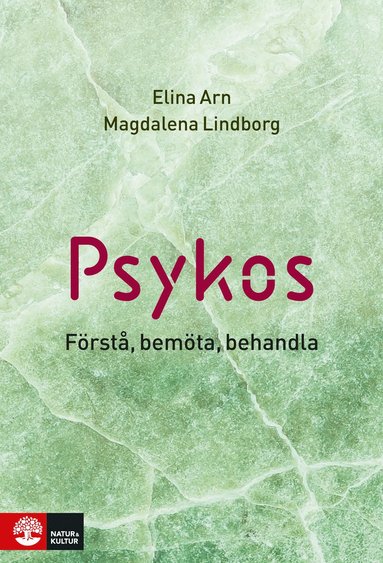 Psykos : frst, bemta, behandla (hftad)