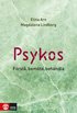 Psykos : förstå, bemöta, behandla