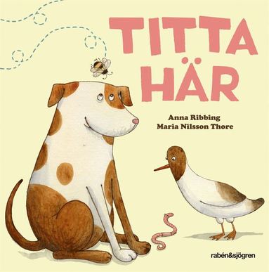 Titta här (häftad)