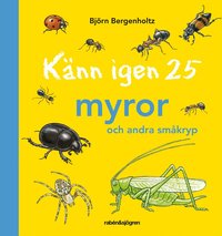 Omslag: Känn igen 25 myror och andra småkryp