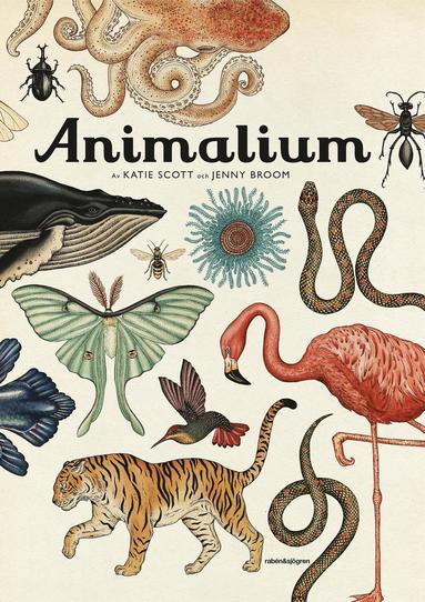 Animalium (inbunden)