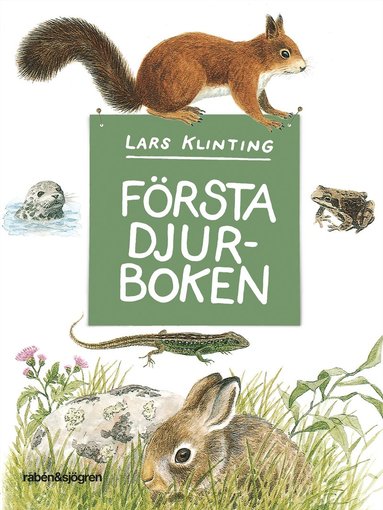 Frsta djurboken : dggdjur groddjur krldjur (inbunden)