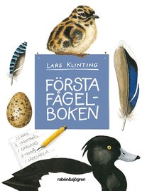 Omslag: Första fågelboken