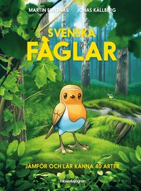 Omslag: Svenska fåglar : jämför och lär känna 40 arter