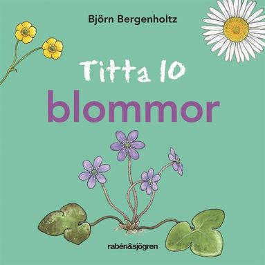 Titta 10 blommor (e-bok)