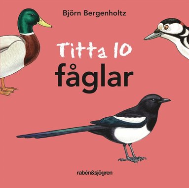 Titta 10 fglar (kartonnage)
