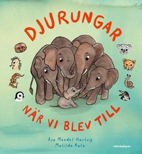 Omslag: Djurungar : när vi blev till