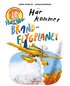 Hr kommer brandflygplanet