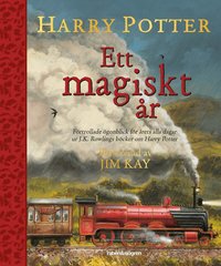 Omslag: Harry Potter : ett magiskt år