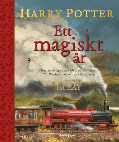 Harry Potter : ett magiskt r (inbunden)