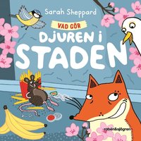 Omslag: Vad gör djuren i staden?