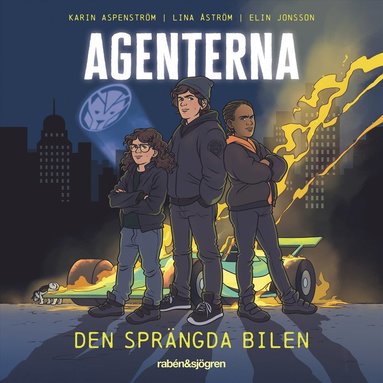 Den sprngda bilen (e-bok)