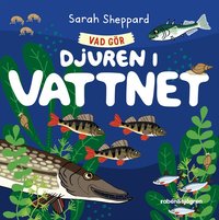 Omslag: Vad gör djuren i vattnet?