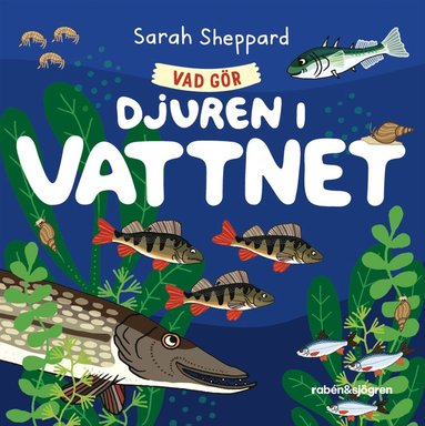 Vad gr djuren i vattnet? (inbunden)