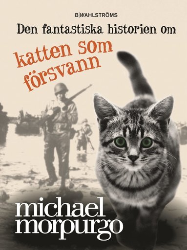 Den fantastiska historien om katten som försvann (inbunden)