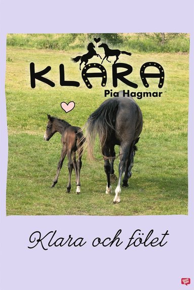 Klara och flet (ljudbok)