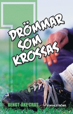 Drmmar som krossas (inbunden)