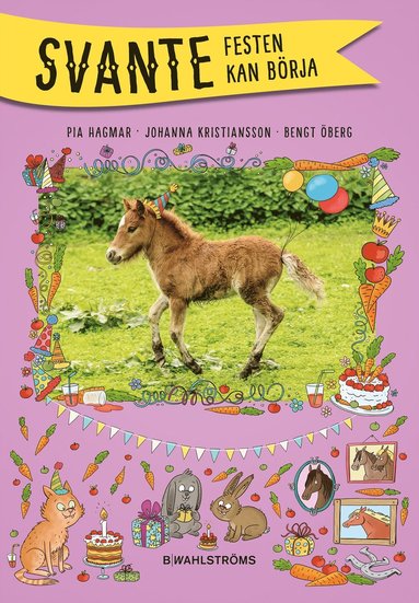 Festen kan brja (ljudbok)