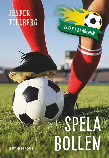 Spela bollen (ljudbok)