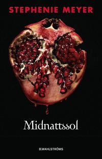 Midnattssol (e-bok)