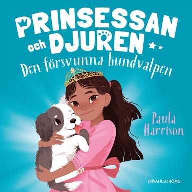 Den frsvunna hundvalpen (kartonnage)