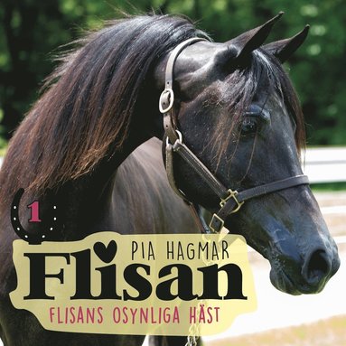 Flisans osynliga hst (ljudbok)