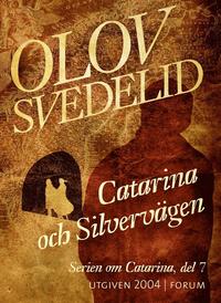 Catarina och Silvervgen (e-bok)