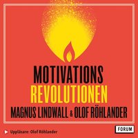 Motivationsrevolutionen : från temporär tändning till livslång låga (ljudbok)