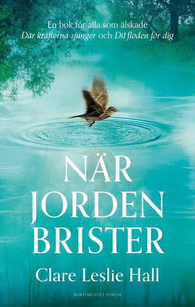 N�r jorden brister (pocket)