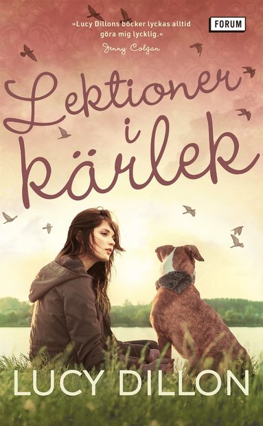 Lektioner i krlek (pocket)