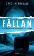 F�llan : en reportagebok om n�tsexbrott mot barn i Sverige