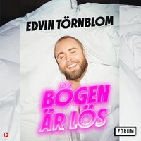 Bögen är lös (ljudbok)